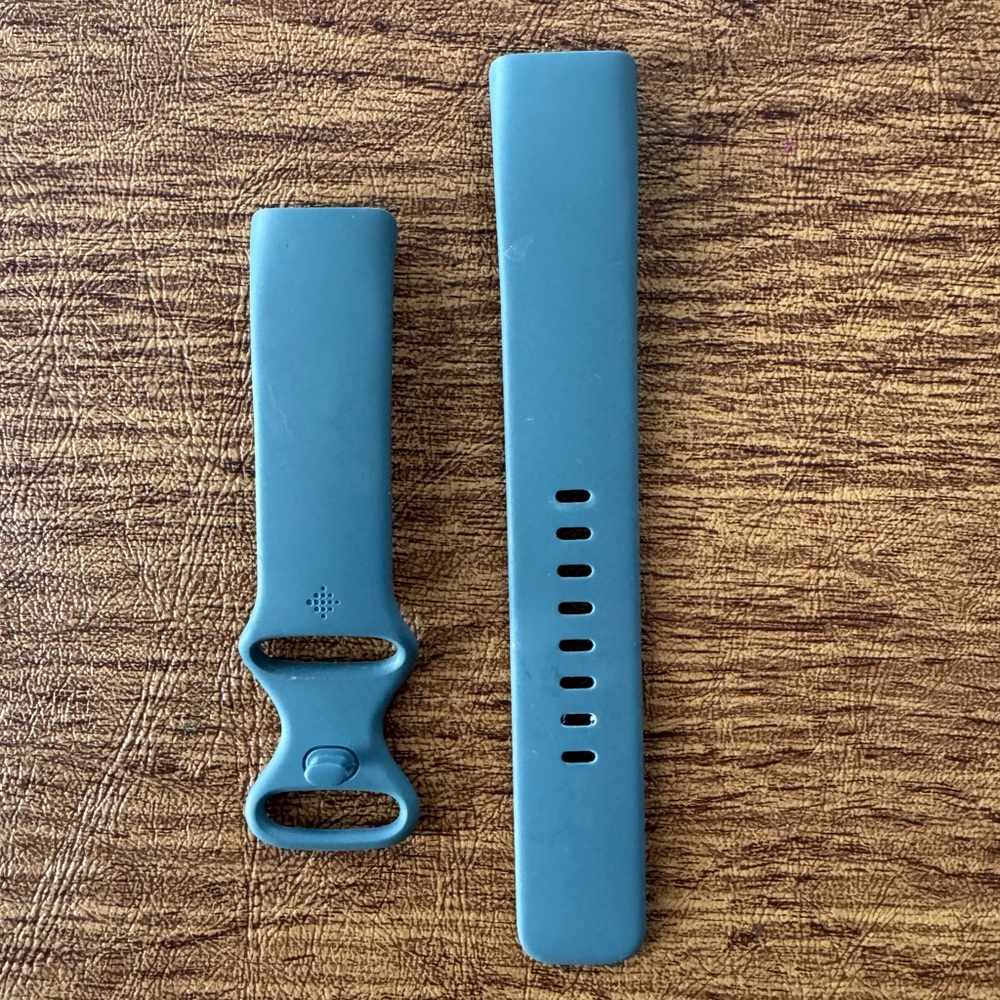 Fitbit Large Blue Band